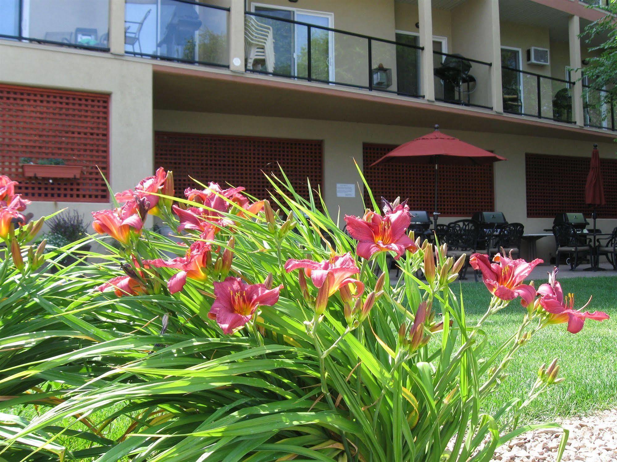 Desert Surfside Waterfront Accommodations Osoyoos Eksteriør bilde